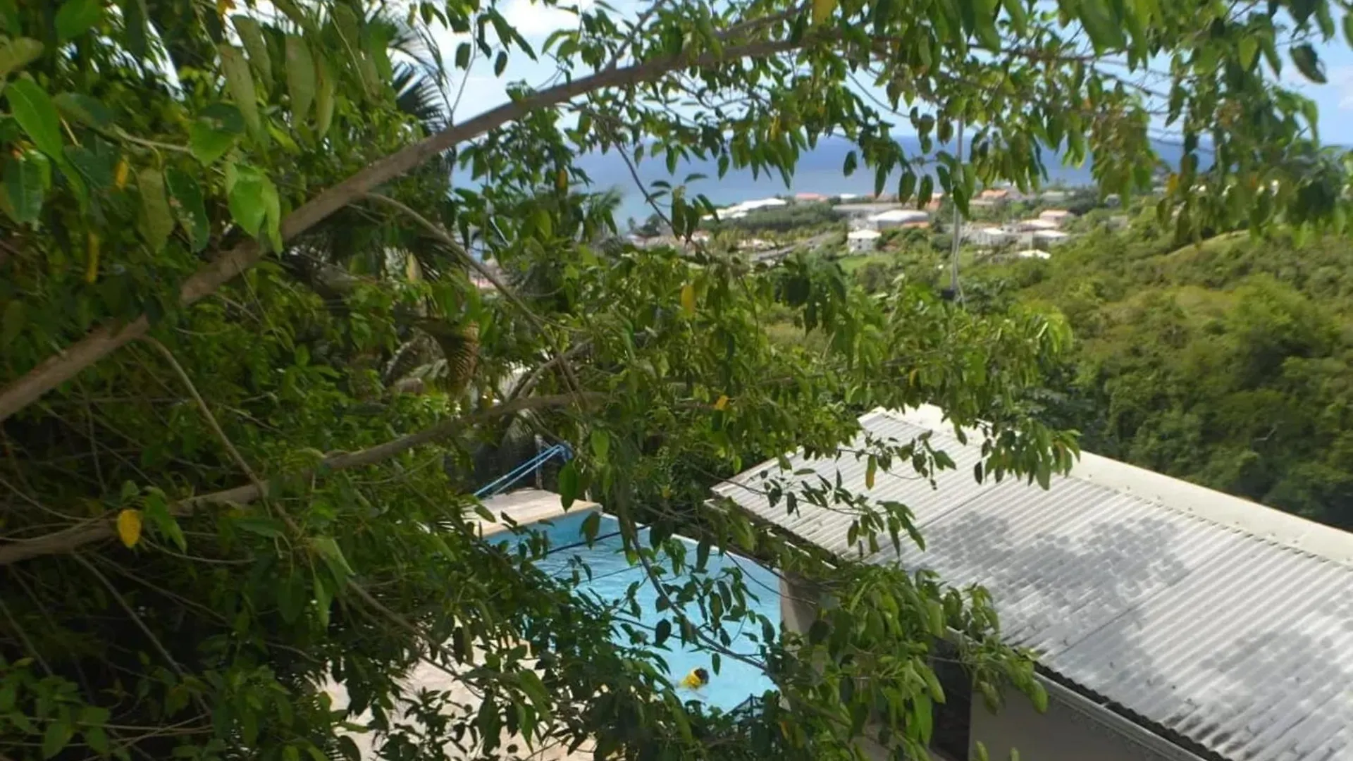 Appartement Moderne A Sainte-Luce Avec Piscine Partagee Martinique